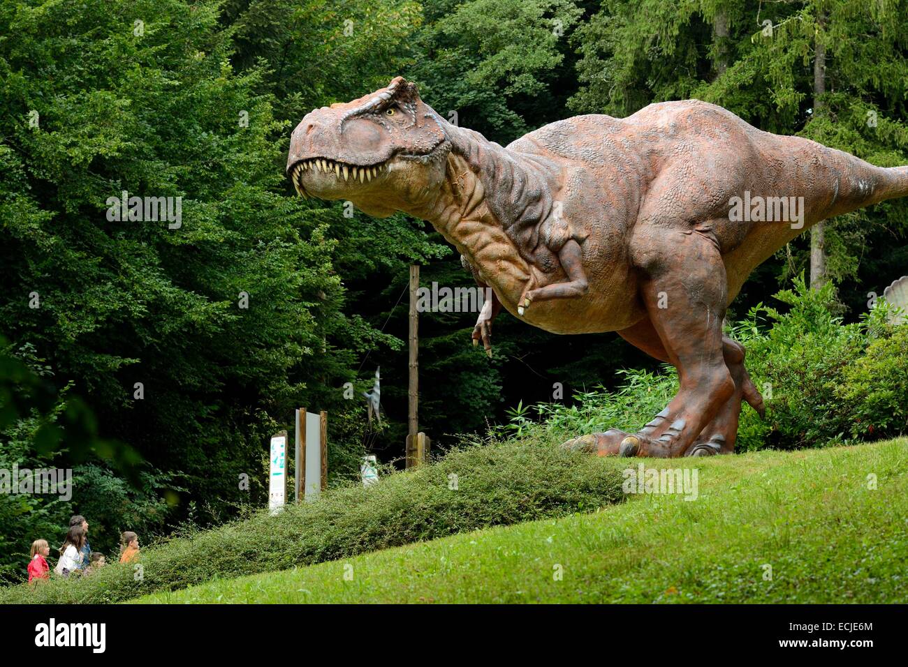 France, Doubs, Charbonnieres les Sapins, Dino zoo parc préhistorique,  Tyrannosaurus rex Photo Stock - Alamy