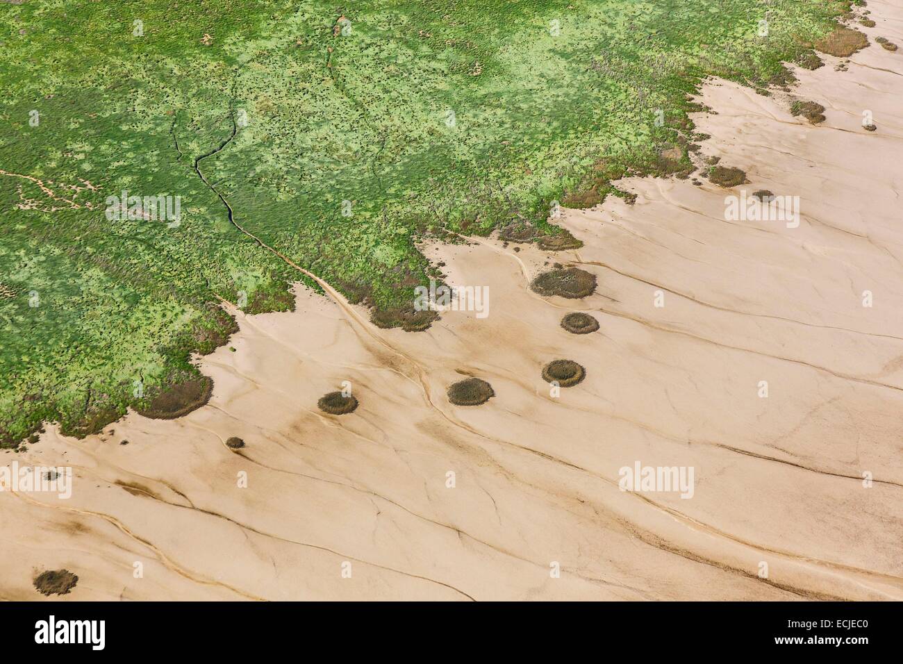France, Vendée, Saint Michel en l'Herm, l'Aiguillon bay (vue aérienne) Banque D'Images