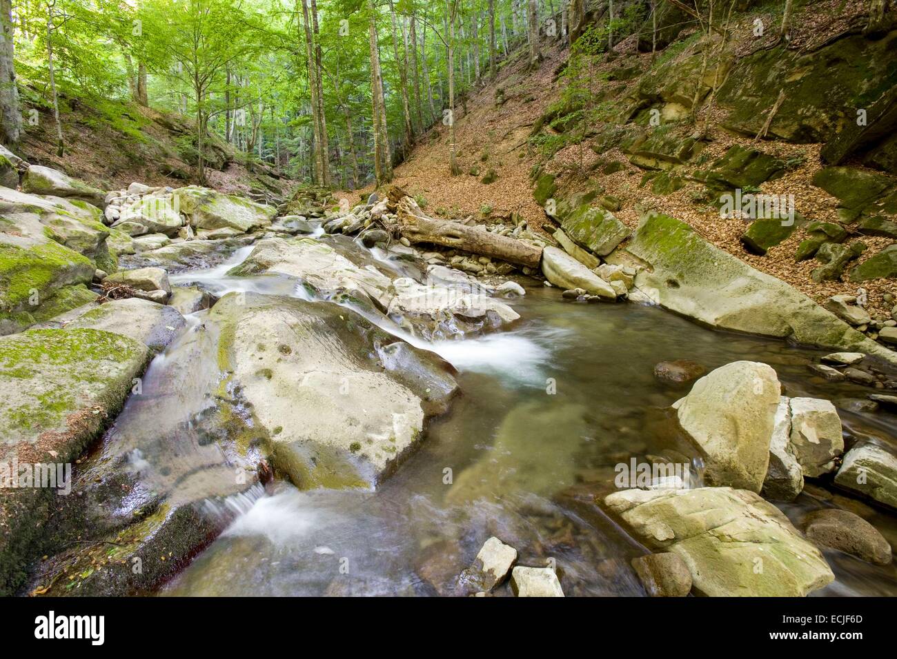 La Bulgarie, Lovec région, Stara Planina, Parc National Balkan Central, d'un ruisseau Banque D'Images