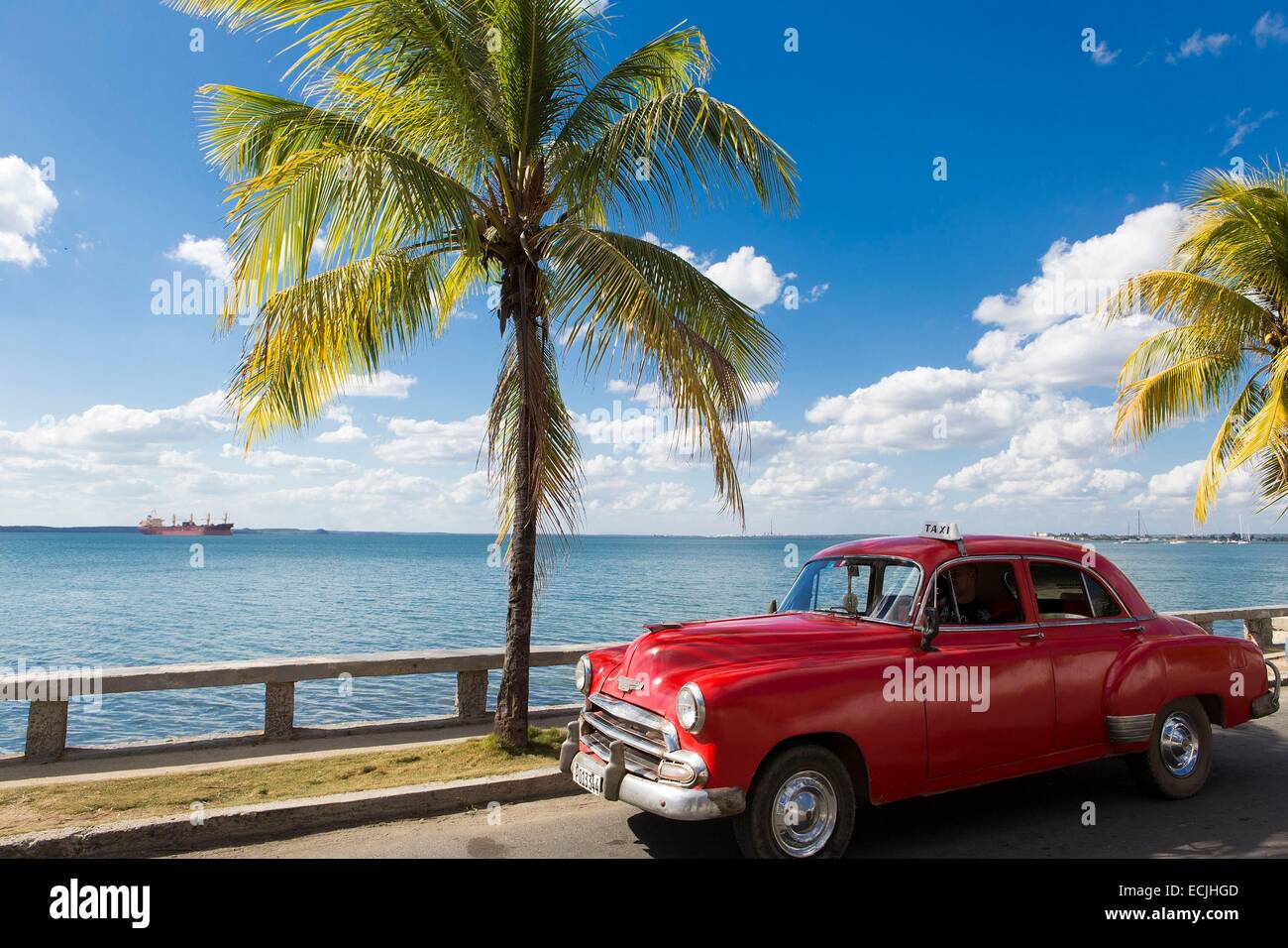 Cuba, Cienfuegos, Cienfuegos province, Punta Gorda, voiture américaine et de palmiers au bord de la mer Banque D'Images