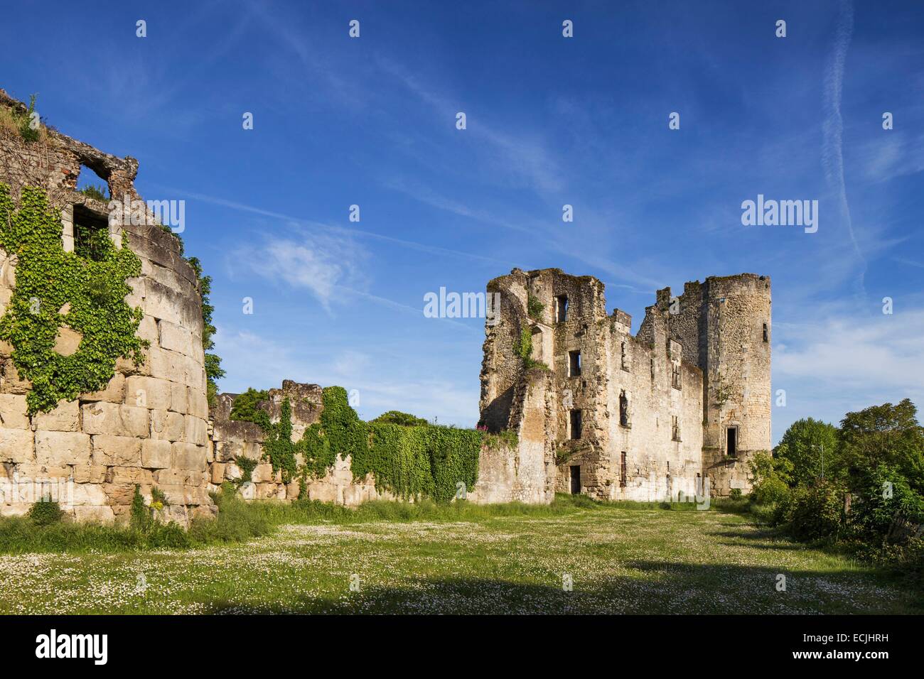 Château En Ruine En Dordogne à Vendre France, dordogne, Périgord Blanc, ruines de château barrière en date du  13ème siècle Photo Stock - Alamy