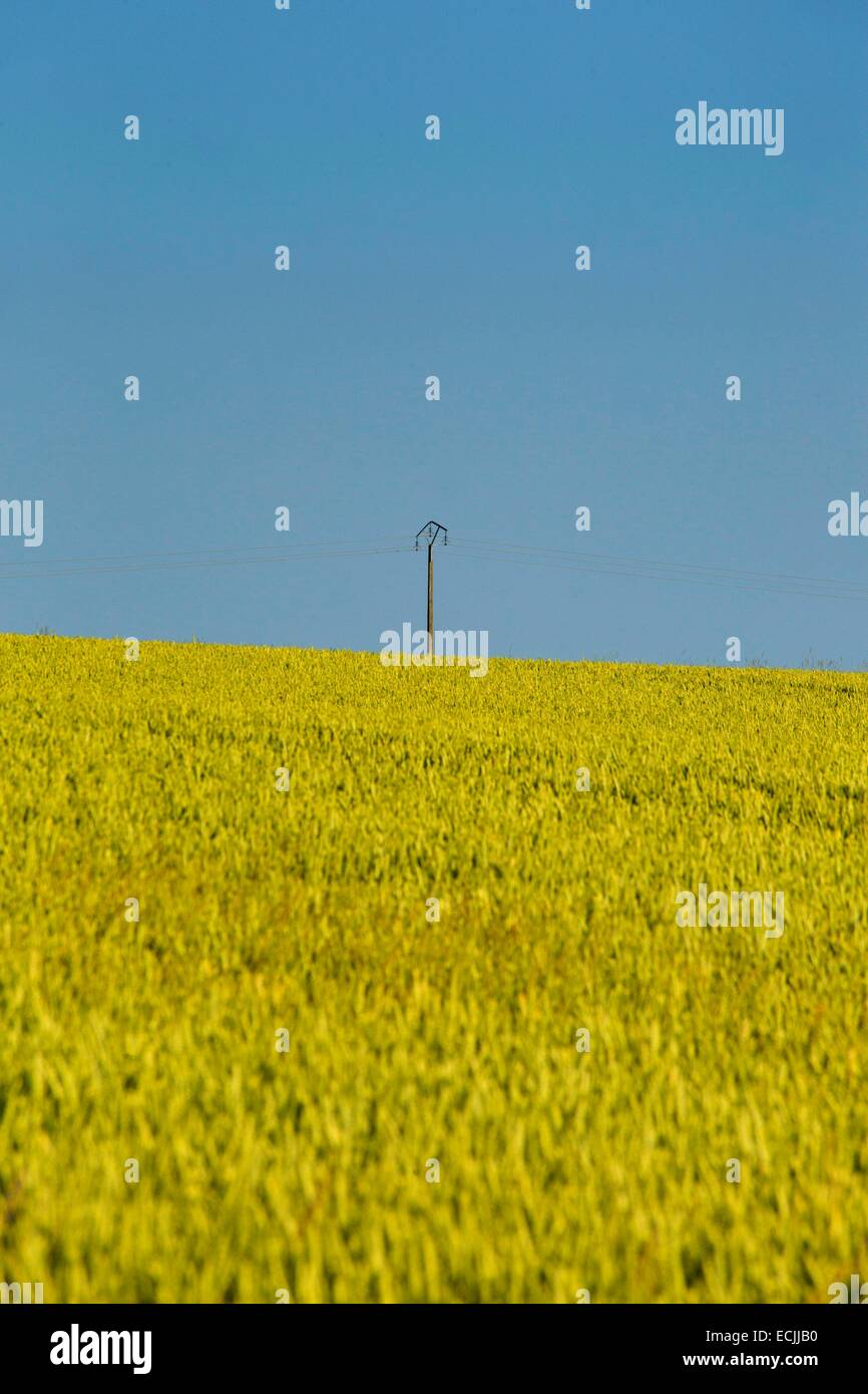 La France, l'Aisne, Neuve maison, poteau électrique sur un champ Banque D'Images