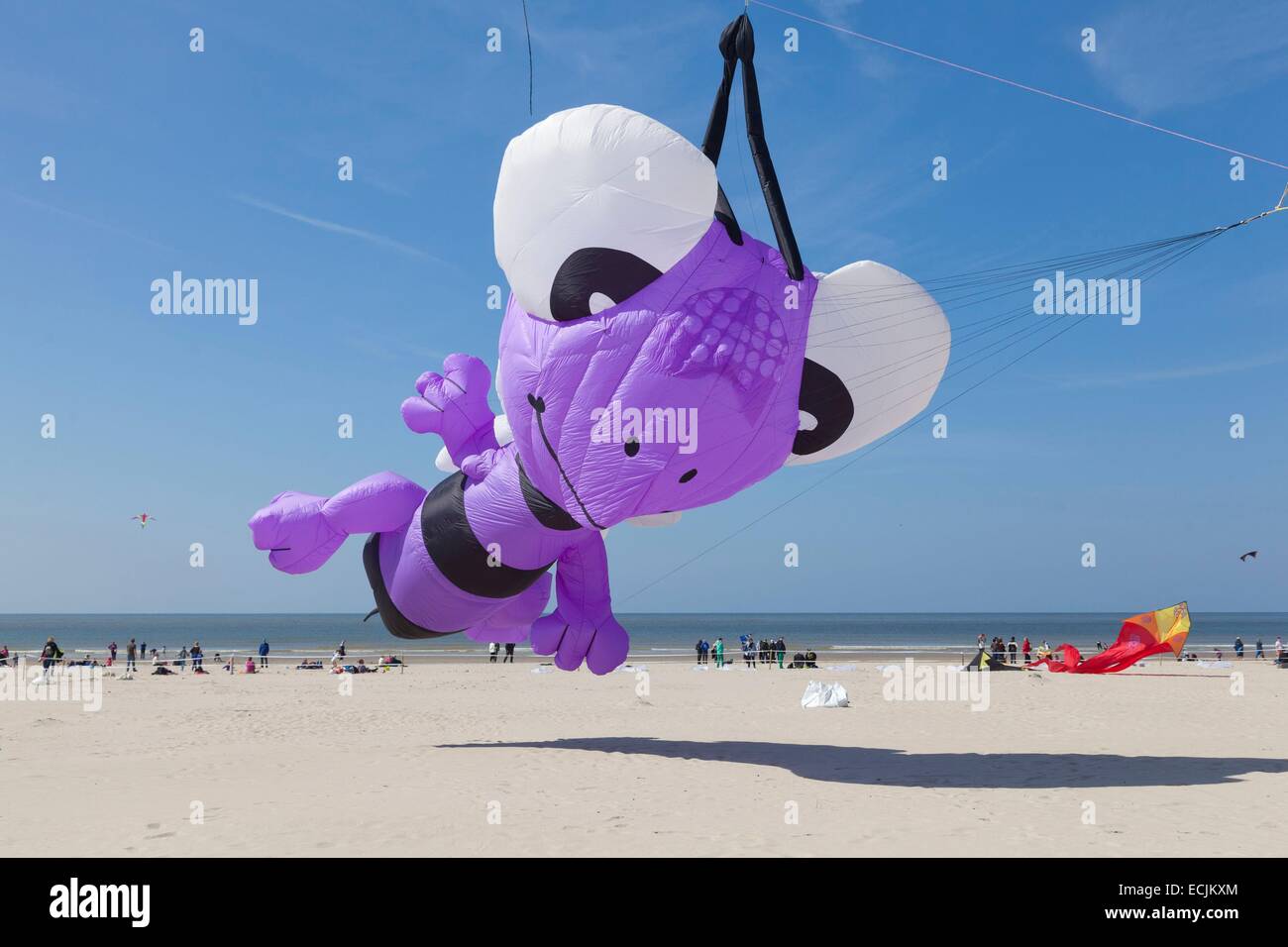 La France, Pas de Calais, Berck sur Mer, Kite Concours International en Avril 2014 Banque D'Images