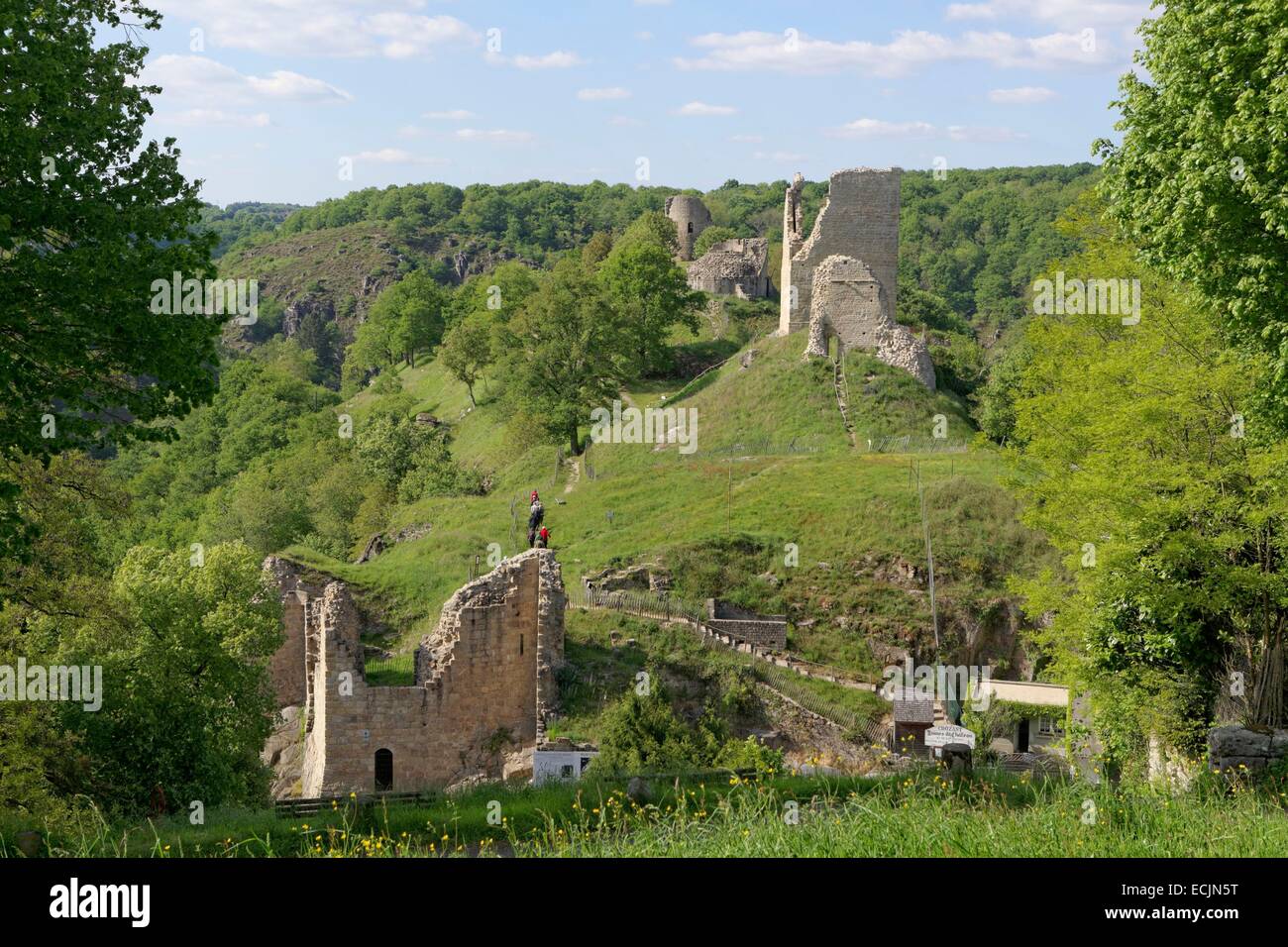 France, Creuse, Crozant, ruines de château médiéval, vallée de la Creuse Banque D'Images