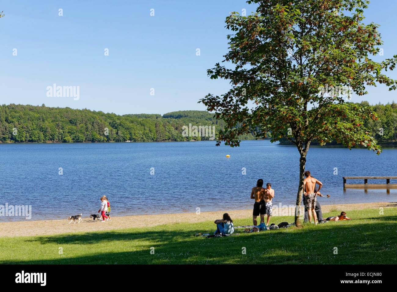 France, Corrèze, Neuvic d'Ussel, la vallée de la Triouzoune, le lac Photo  Stock - Alamy