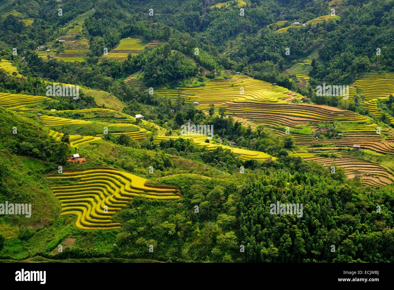 Ha Giang, Vietnam Ha Giang, province, un outil maison de riz en terrasse. Banque D'Images