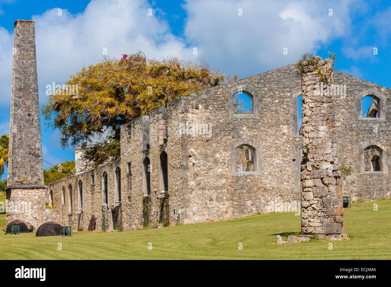 La France, Guadeloupe, Marie Galante, Grand Bourg, Château de Murat (Habitation Murat) est un ancien domaine sucrier fondé au début du 19ème siècle, qui a été le plus grand en Guadeloupe, ruines de Candy Banque D'Images