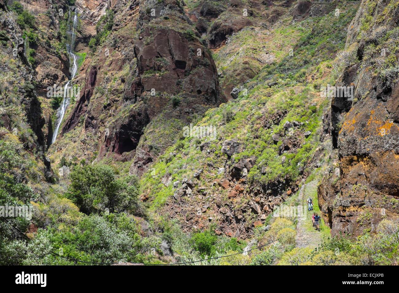 Le Portugal, l'île de Madère, randonnée de Prazeres à Paul do Mar le long du Caminho Real, un vieux chemin pavé Banque D'Images