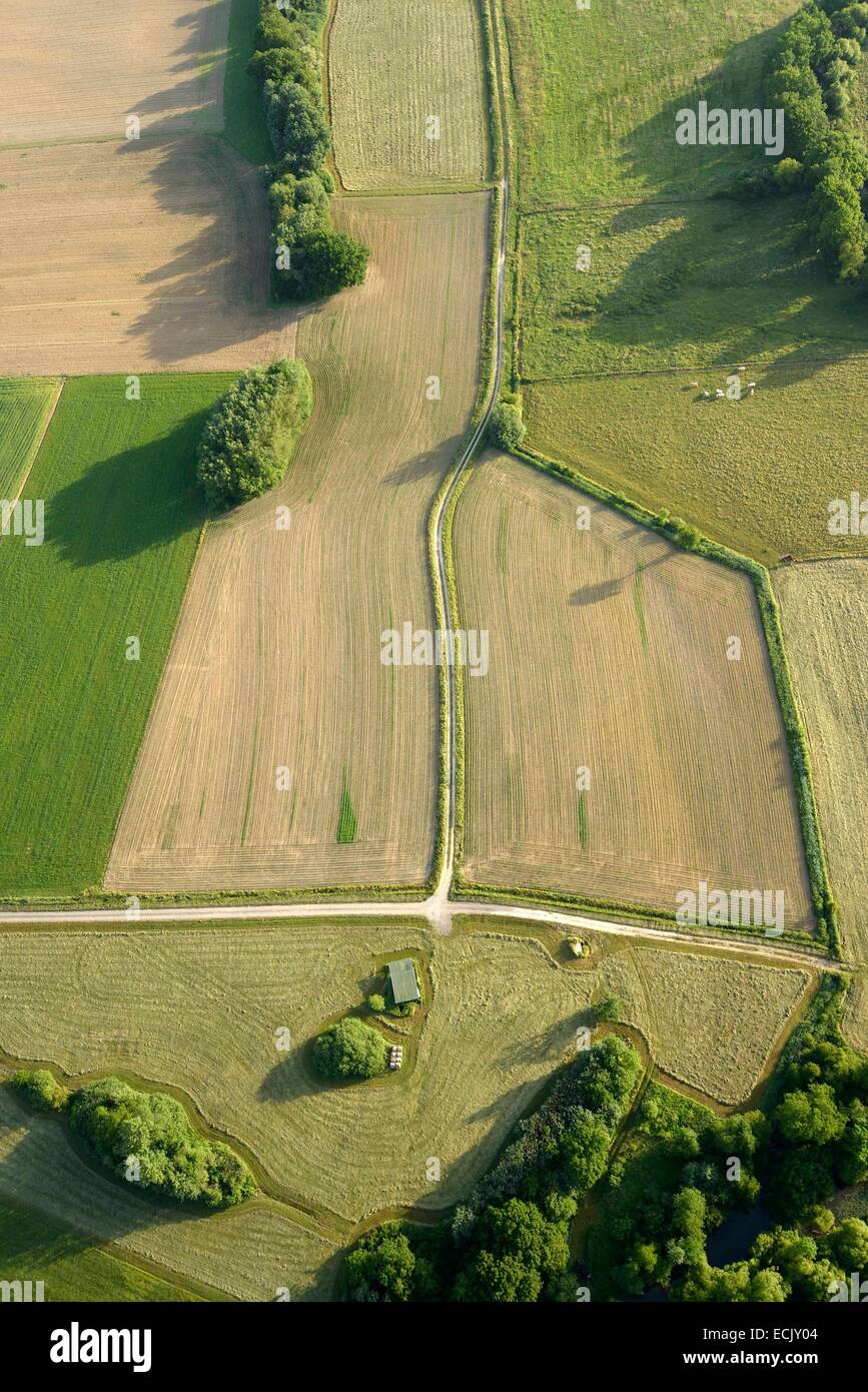 La France, Territoire de Belfort, Bavilliers, la vallée en été Route Bourbeuse travesant tondues de pâturages et de terres agricoles (vue aérienne) Banque D'Images