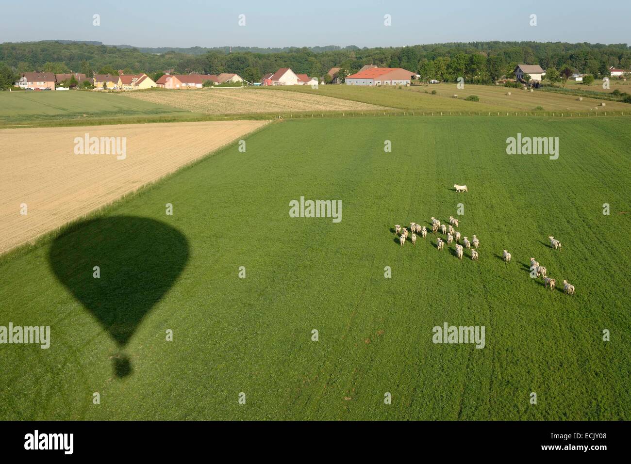 La France, Territoire de Belfort, Bavilliers, l'ombre de la montgolfière s'apprête à atterrisage dans un pré (vue aérienne) Banque D'Images