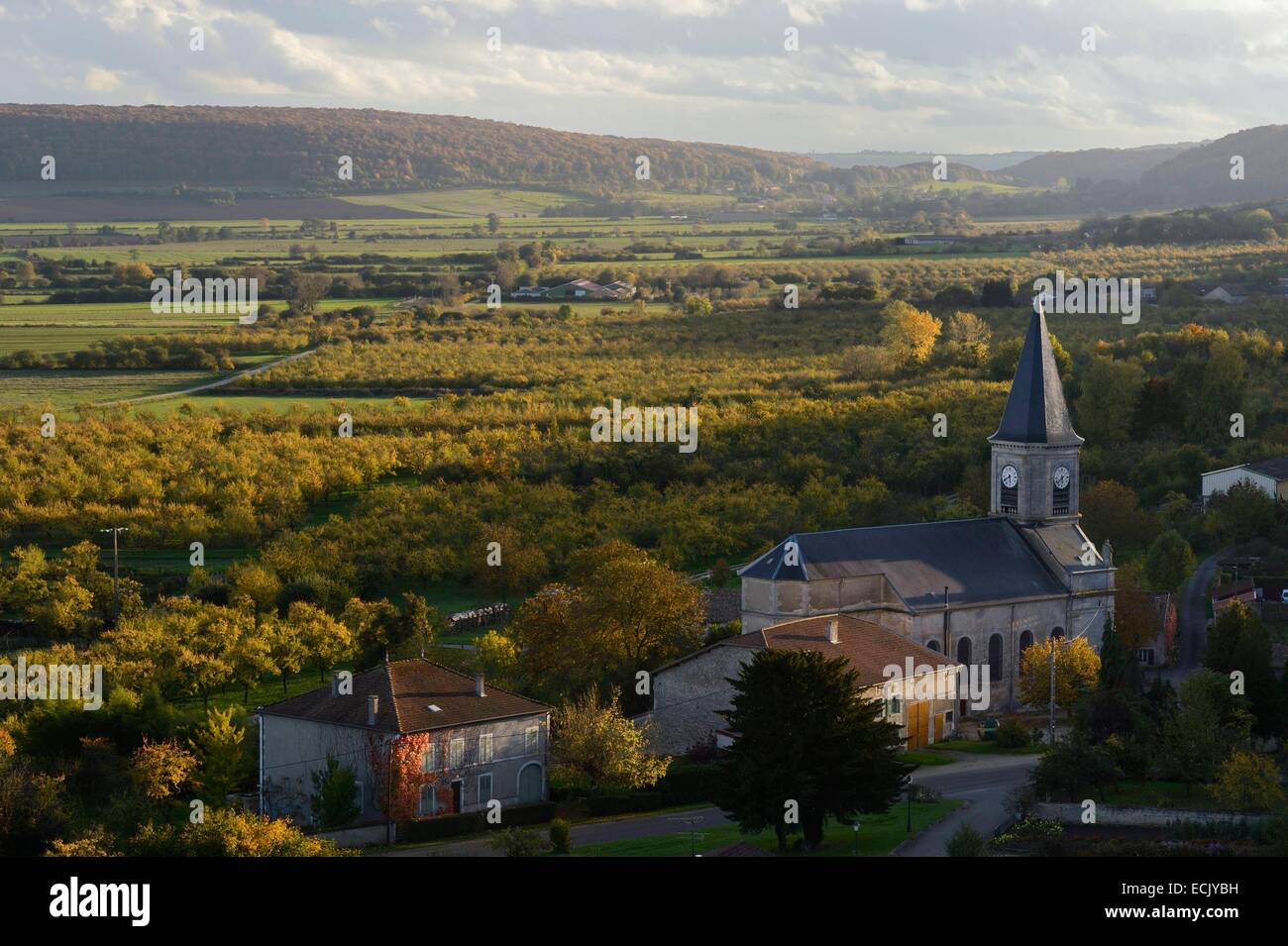 France, Meuse, Lorraine Regional Park, Côtes de Meuse, l'église de Buxières sous les côtes et cherry plum'arbres dans la plaine de Woevre Banque D'Images