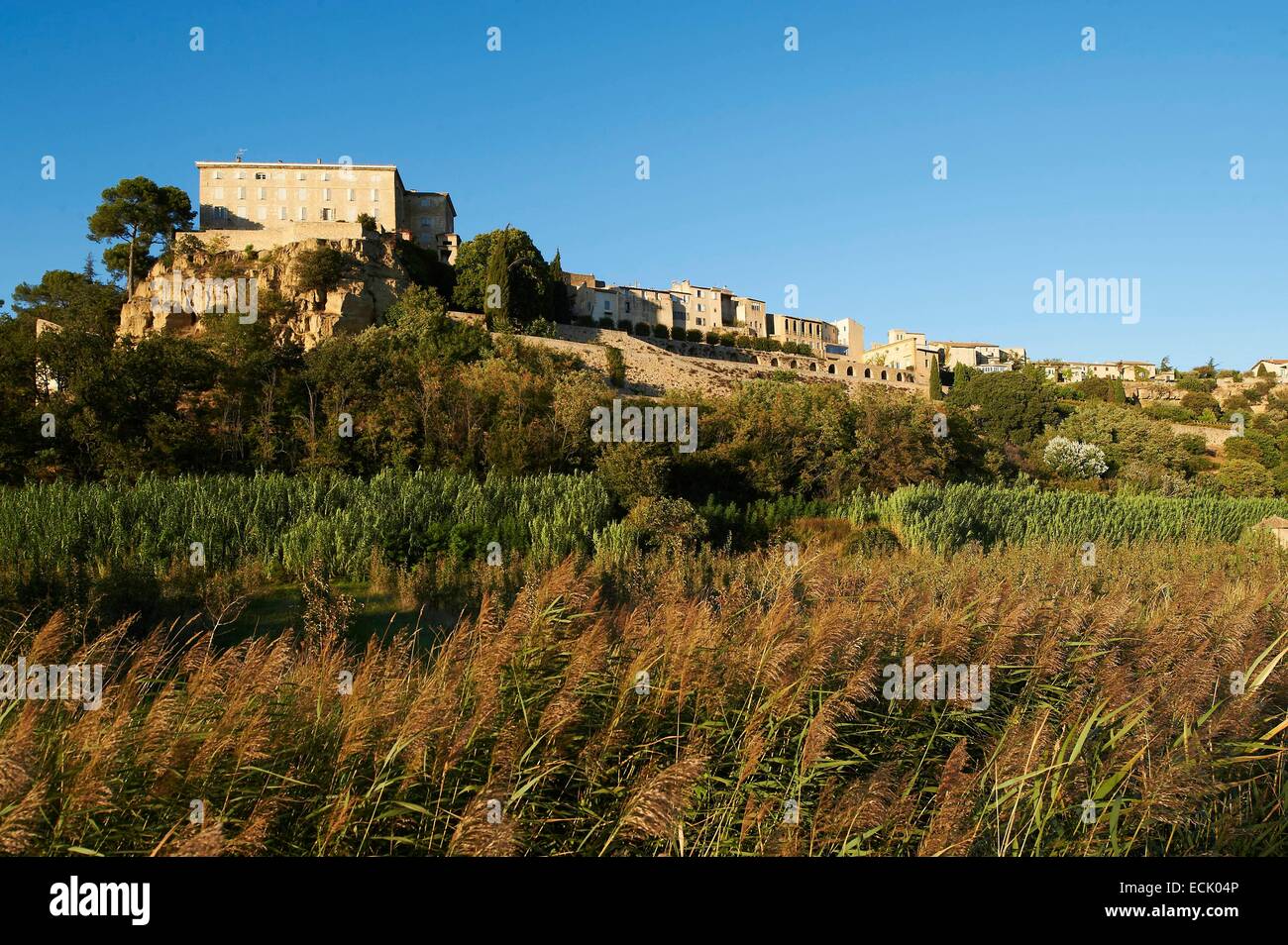 La France, Vaucluse, Le Parc Naturel Régional du Luberon (Parc Naturel Régional du Luberon), Lauris Banque D'Images