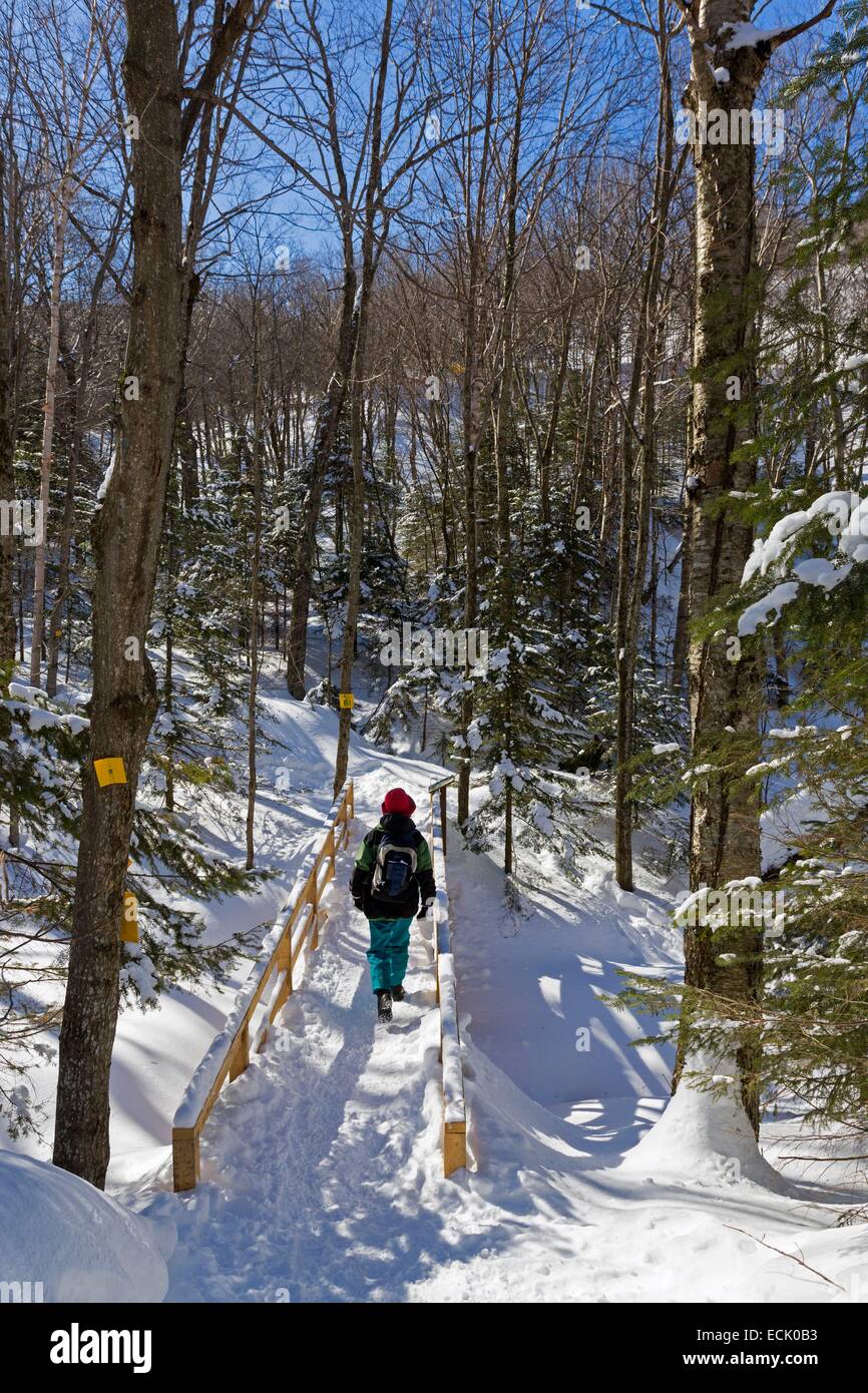 Le Canada, la province du Québec, la région des Cantons de l'Est, le village de Sutton, la réserve naturelle des Montagnes Vertes, la randonnée et la raquette dans le parc naturel de l'environnement Sutton Banque D'Images