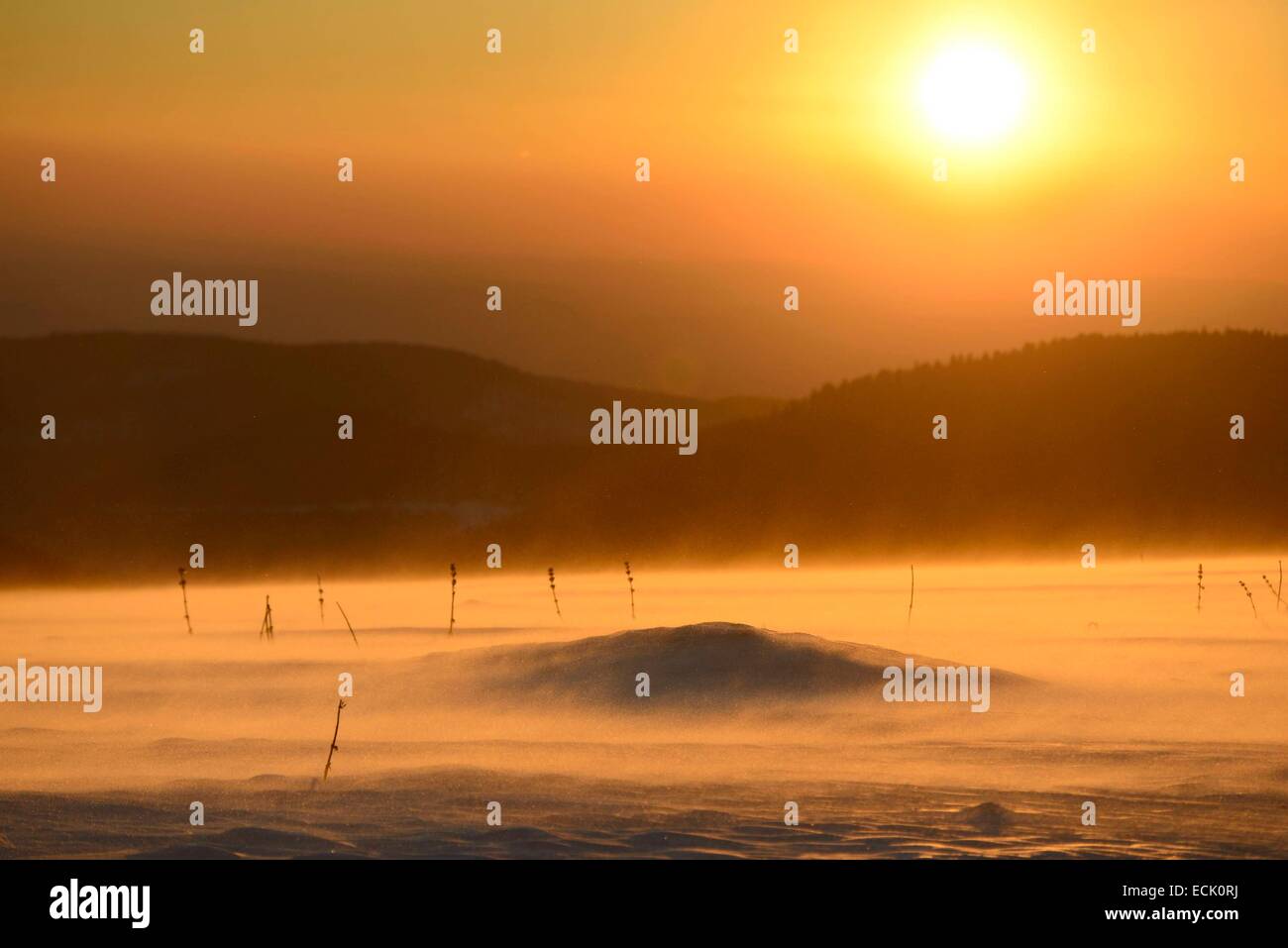 La France, Territoire de Belfort, Vosges, Ballon d'Alsace, neige poudreuse ventée au coucher du soleil Banque D'Images