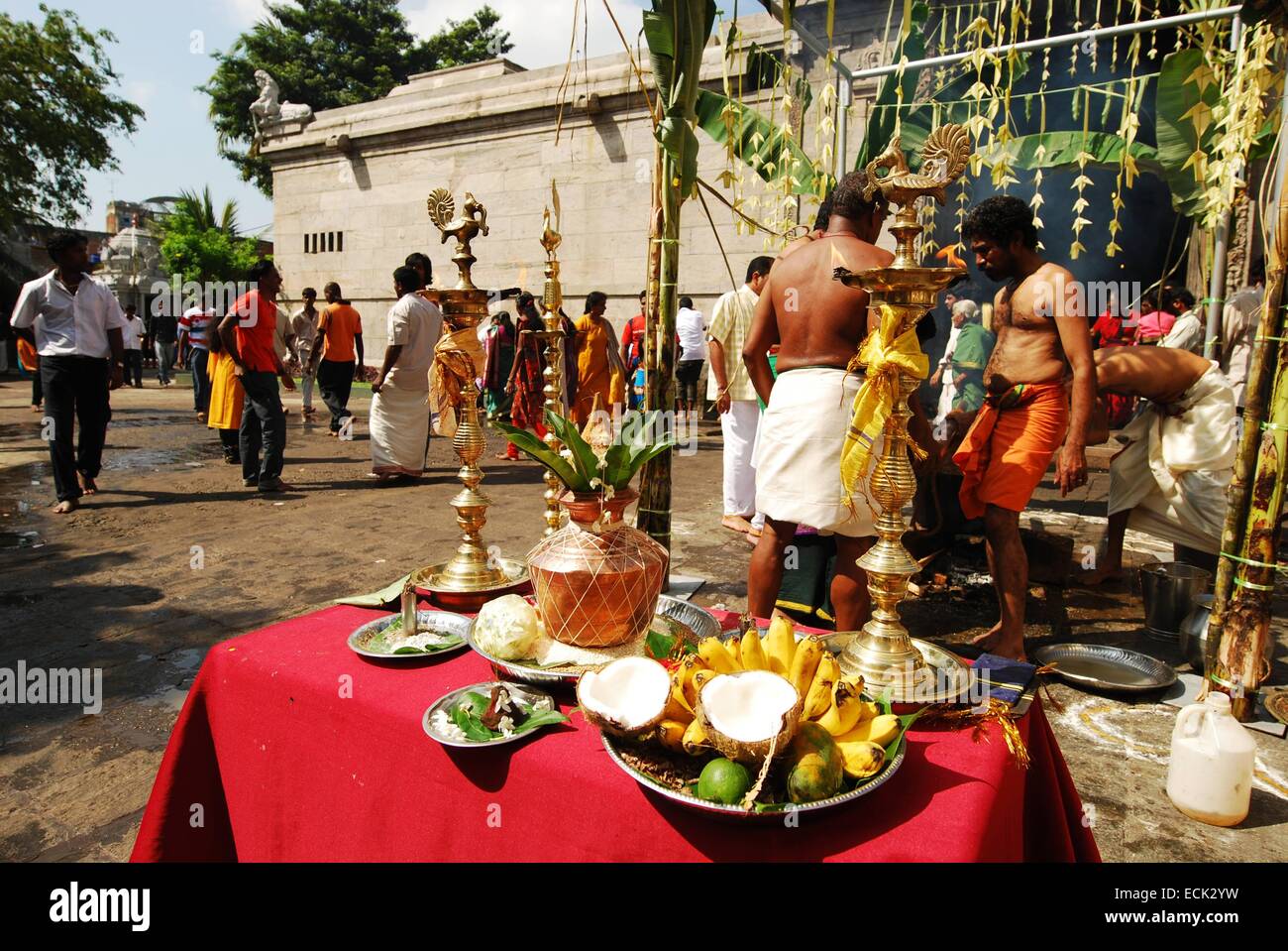 Sri Lanka, Colombo, les gens en faisant des offrandes en face de Temple pendant le festival des récoltes de Thaï Pongal dans un temple à Colombo. Le festival de Tamoul Thaï Pongal est un festival de l'action de célébrer une bonne récolte Banque D'Images