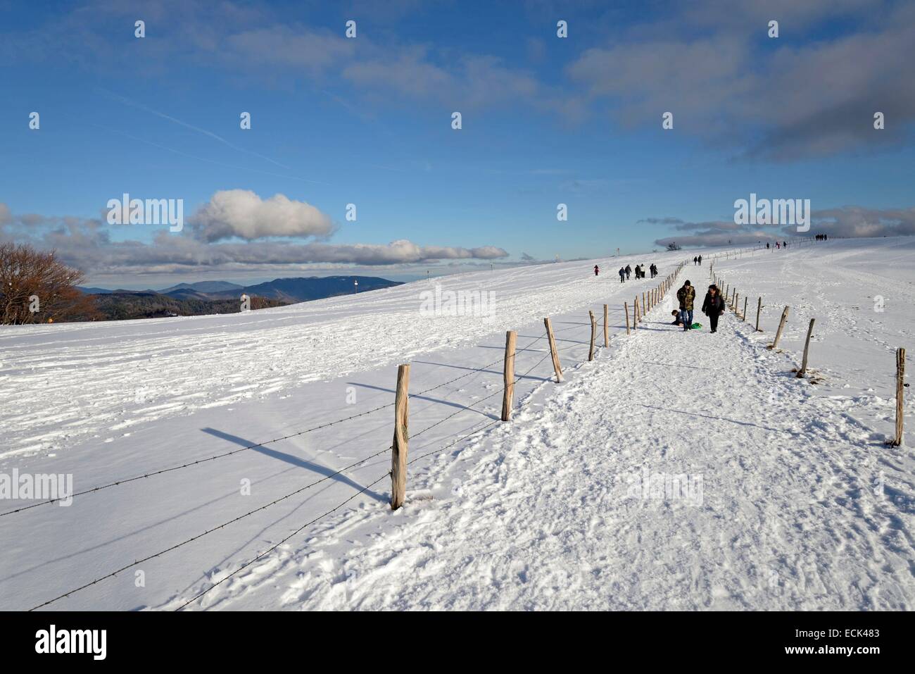 La France, Territoire de Belfort, massif des Vosges, ballon d'Alsace, à pied sur la crête à 1 247 m Banque D'Images