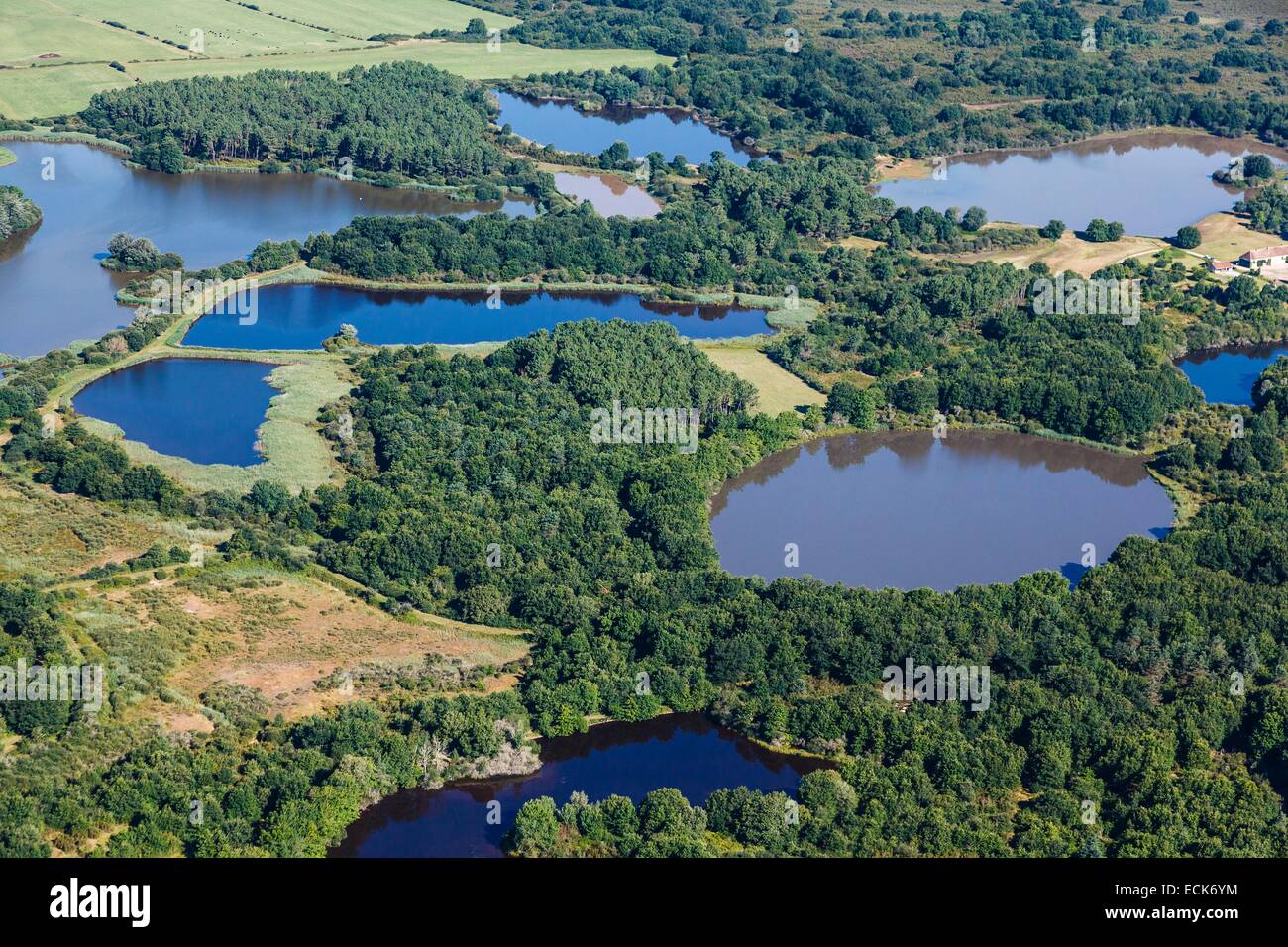 France, Indre, Migne, les étangs de la Brenne parc régional (vue aérienne) Banque D'Images