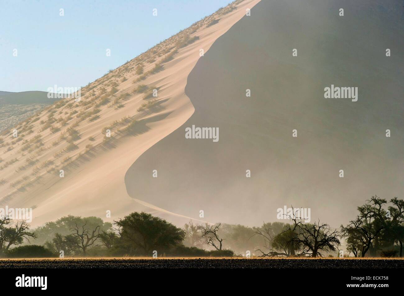 La Namibie, région Hardap, désert du Namib, le Namib Namib-Naukluft national park, La Mer de Sable classée au Patrimoine Mondial de l'UNESCO, les dunes de Sossusvlei Banque D'Images