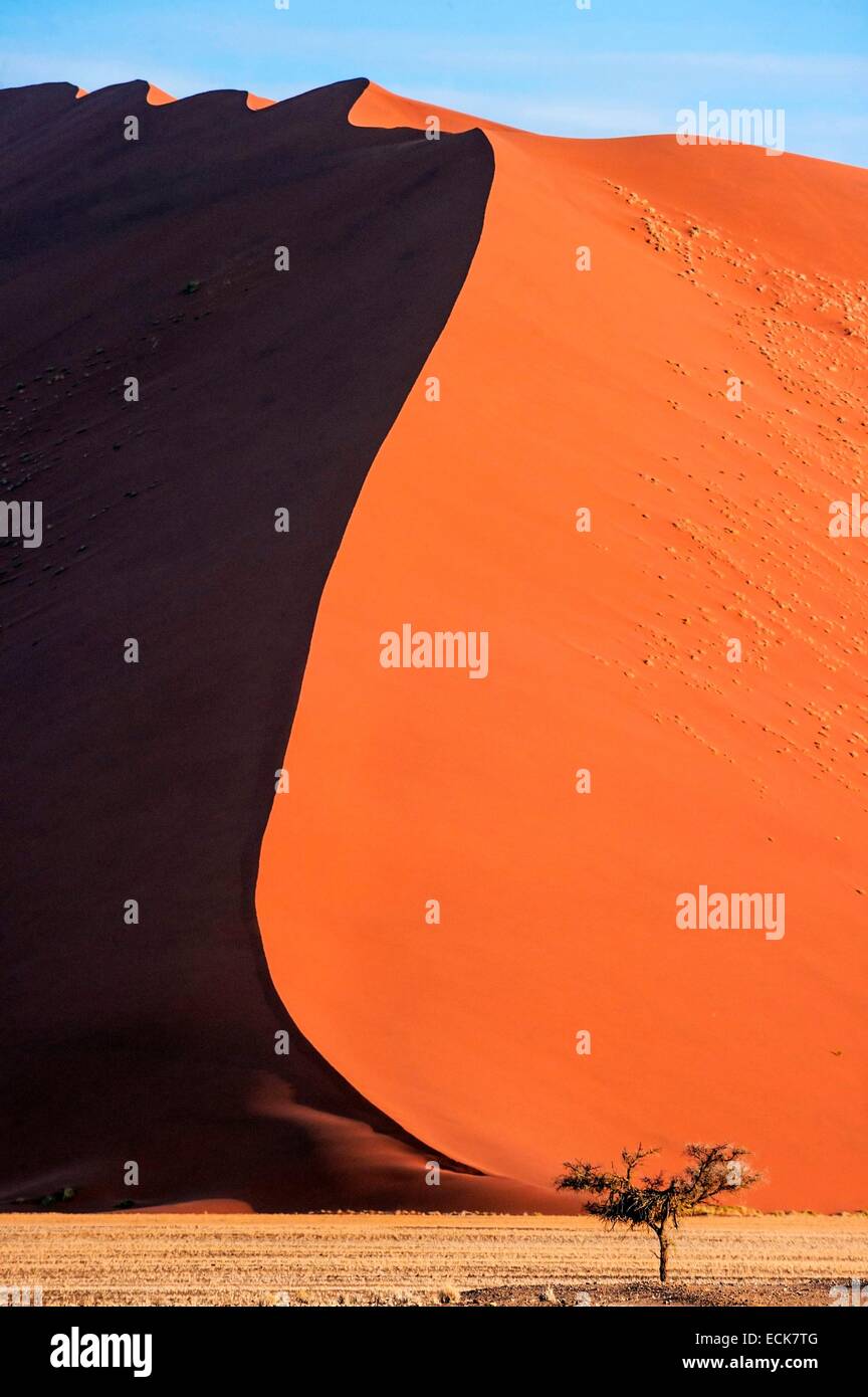 La Namibie, région Hardap, désert du Namib, le Namib Namib-Naukluft national park, La Mer de Sable classée au Patrimoine Mondial de l'UNESCO, les dunes de Sossusvlei Banque D'Images