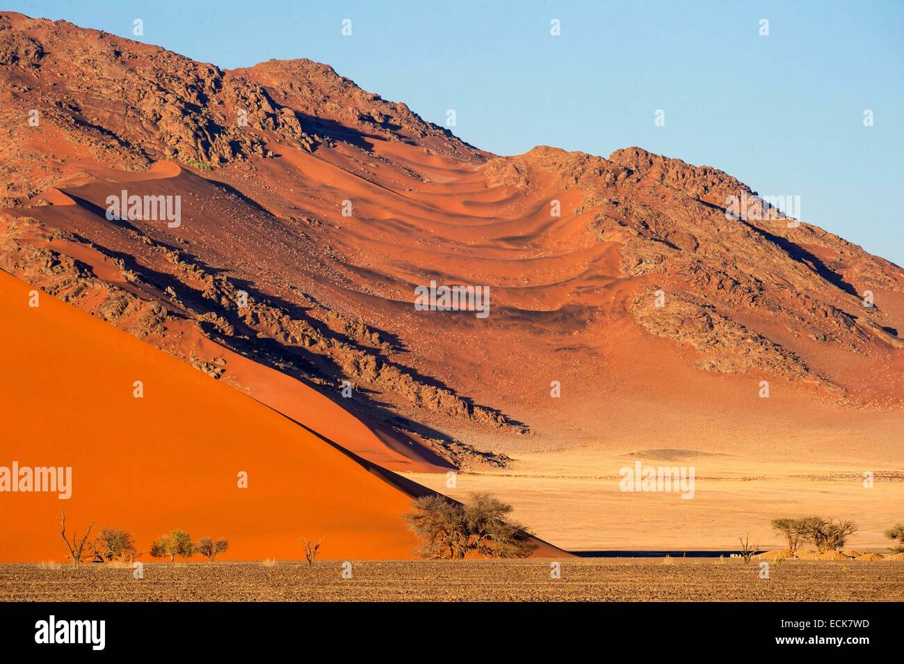 La Namibie, région Hardap, désert du Namib, le Namib Namib-Naukluft national park, La Mer de Sable classée au Patrimoine Mondial de l'UNESCO, les dunes de Sossusvlei Banque D'Images