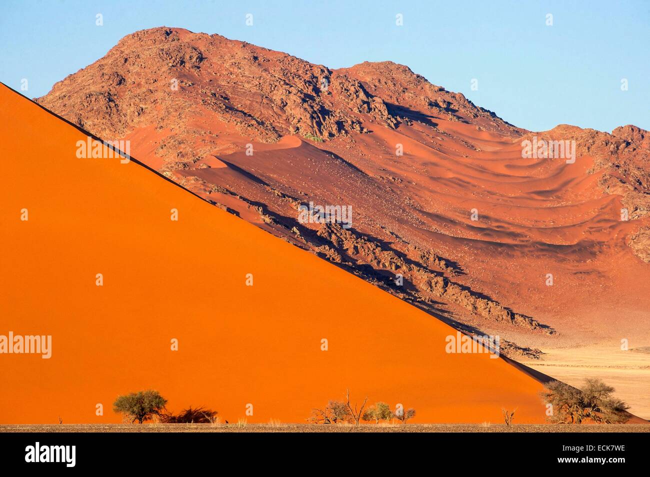 La Namibie, région Hardap, désert du Namib, le Namib Namib-Naukluft national park, La Mer de Sable classée au Patrimoine Mondial de l'UNESCO, les dunes de Sossusvlei Banque D'Images
