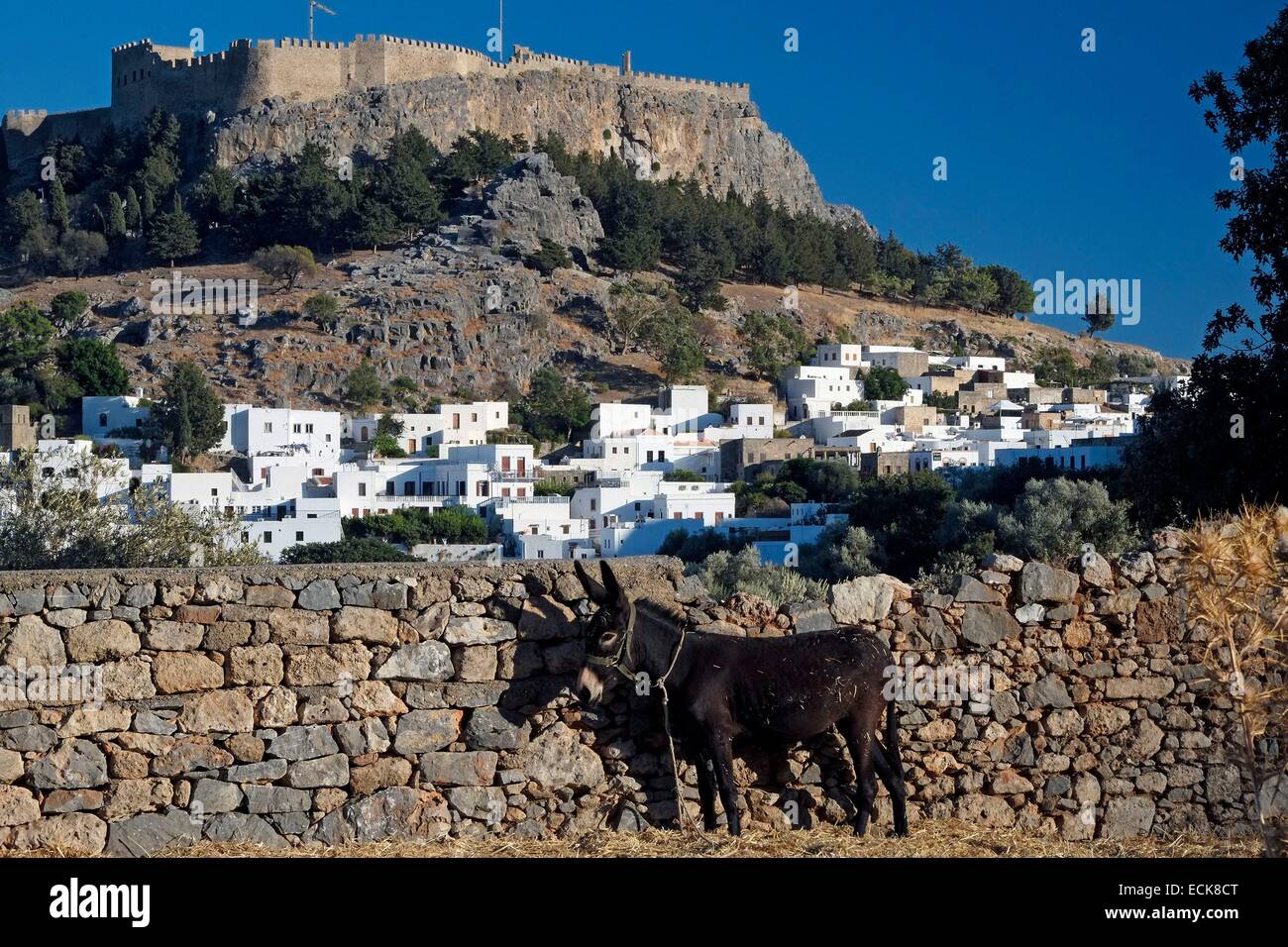 Grèce, Îles du Dodécanèse, l'île de Rhodes, Lindos, tous les village blanc est à l'abri de la mer et dominé par le sanctuaire de l'acropole d'Athéna Lyndia, qui occupe le plateau de l'énorme rocher-Château Banque D'Images