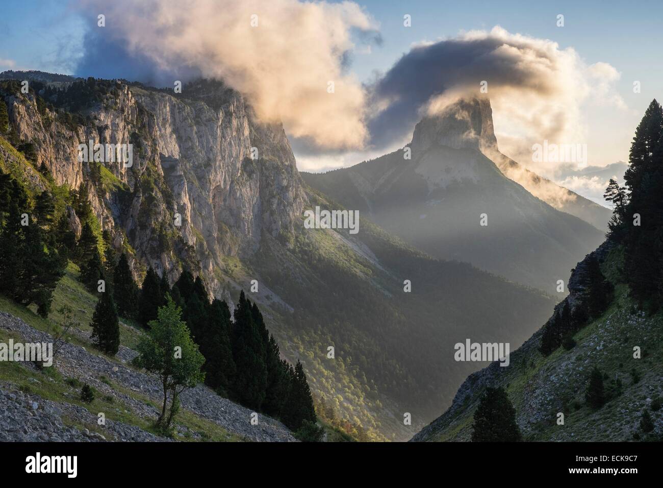 France, Isère, parc naturel régional du Vercors, le Mont Aiguille (alt : 2086 m) de la montagnes du Vercors Banque D'Images