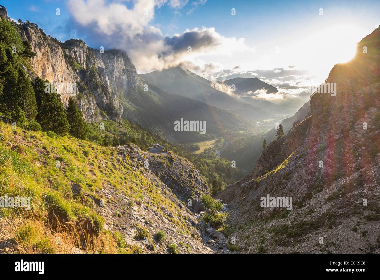 France, Isère, parc naturel régional du Vercors, vue panoramique depuis le pas de l'aiguille (alt : 1622m) sur le Vercors Highlands Banque D'Images
