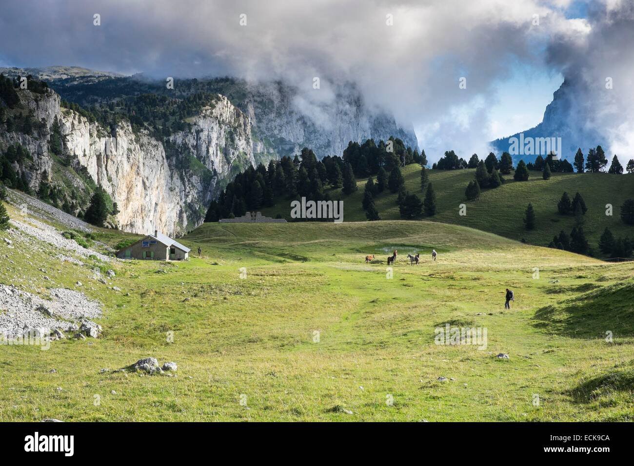 France, Isère, parc naturel régional du Vercors, Rencurel, randonnées aux AP de l'aiguille, Chaumailloux bergerie (alt:1669 m) sur le Vercors Highlands Banque D'Images