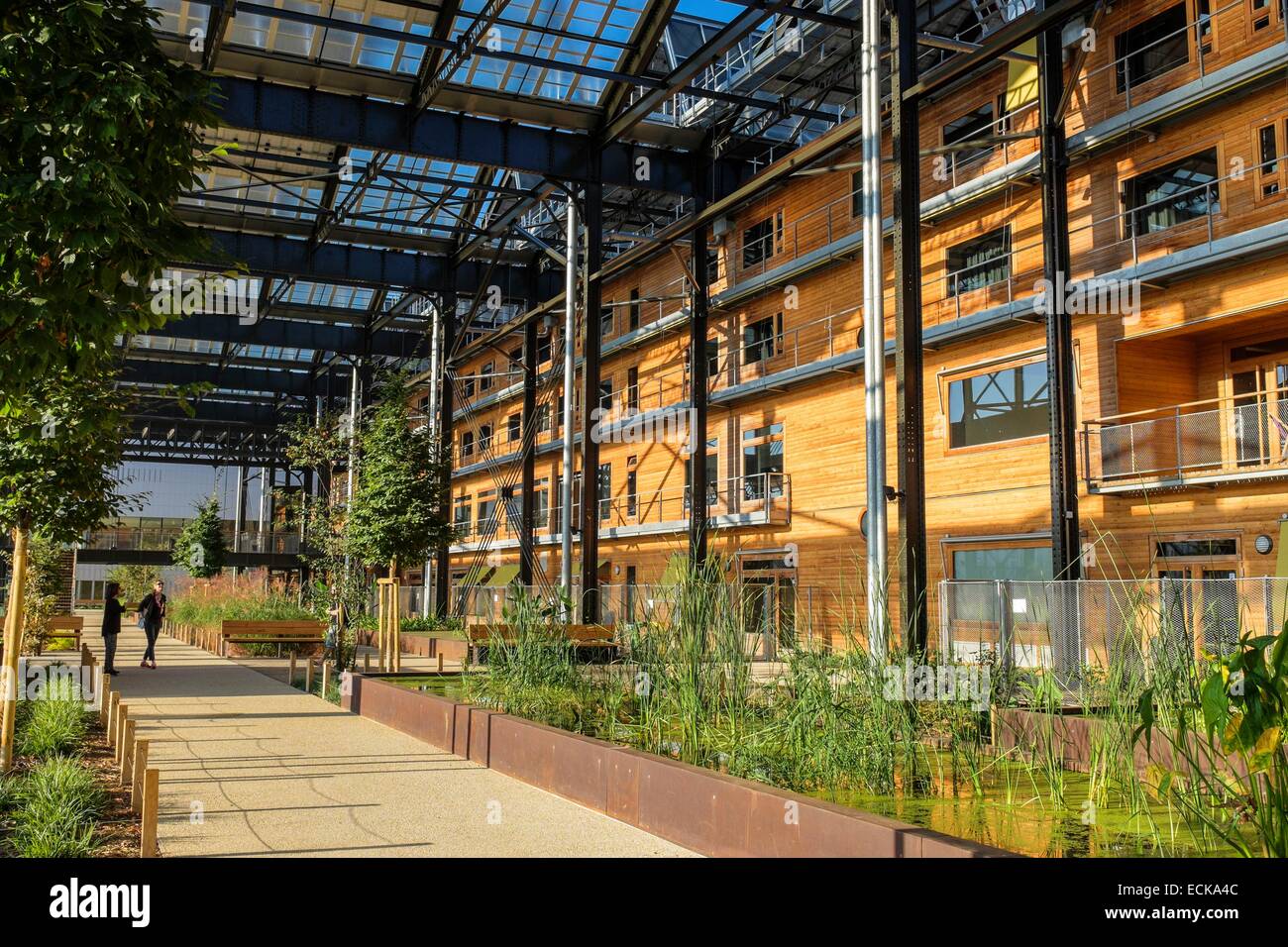 France, Paris, Halle Pajol, bâtiment à énergie positive, produit son électricité avec 3500 m2 de panneaux photovoltaïques, Rosa Luxembourg gardens Banque D'Images