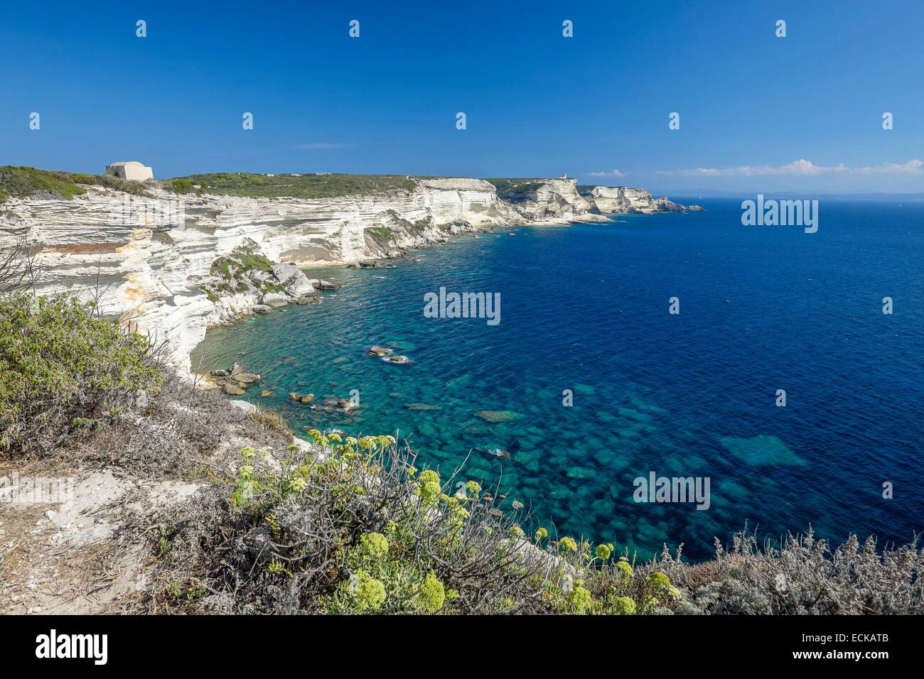 France, Corse-du-Sud, Bonifacio, Bonifacio Réserve Naturelle, falaises calcaires Banque D'Images