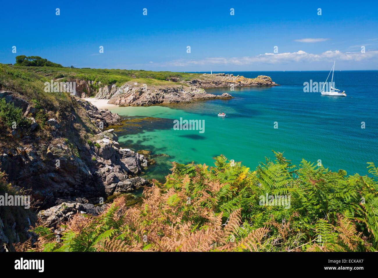 France, Morbihan, le Ponant îles, l'île de Houat, randonnée pédestre le long de la côte nord, face au Golfe du Morbihan Banque D'Images