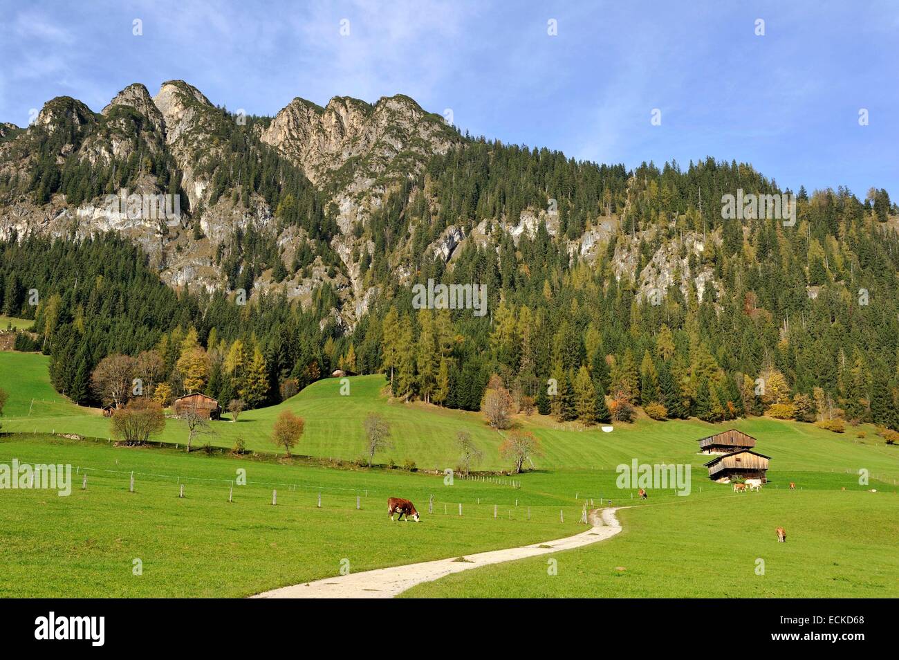 Autriche, Tyrol, Alpbach, paysage alpin et cottage Banque D'Images