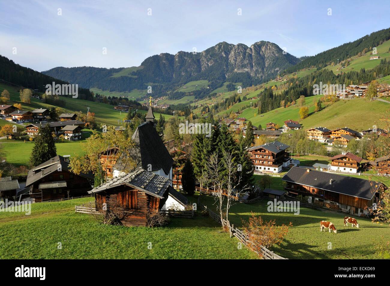 Autriche, Tyrol, Inneralpbach, paysage alpin et cottage Banque D'Images