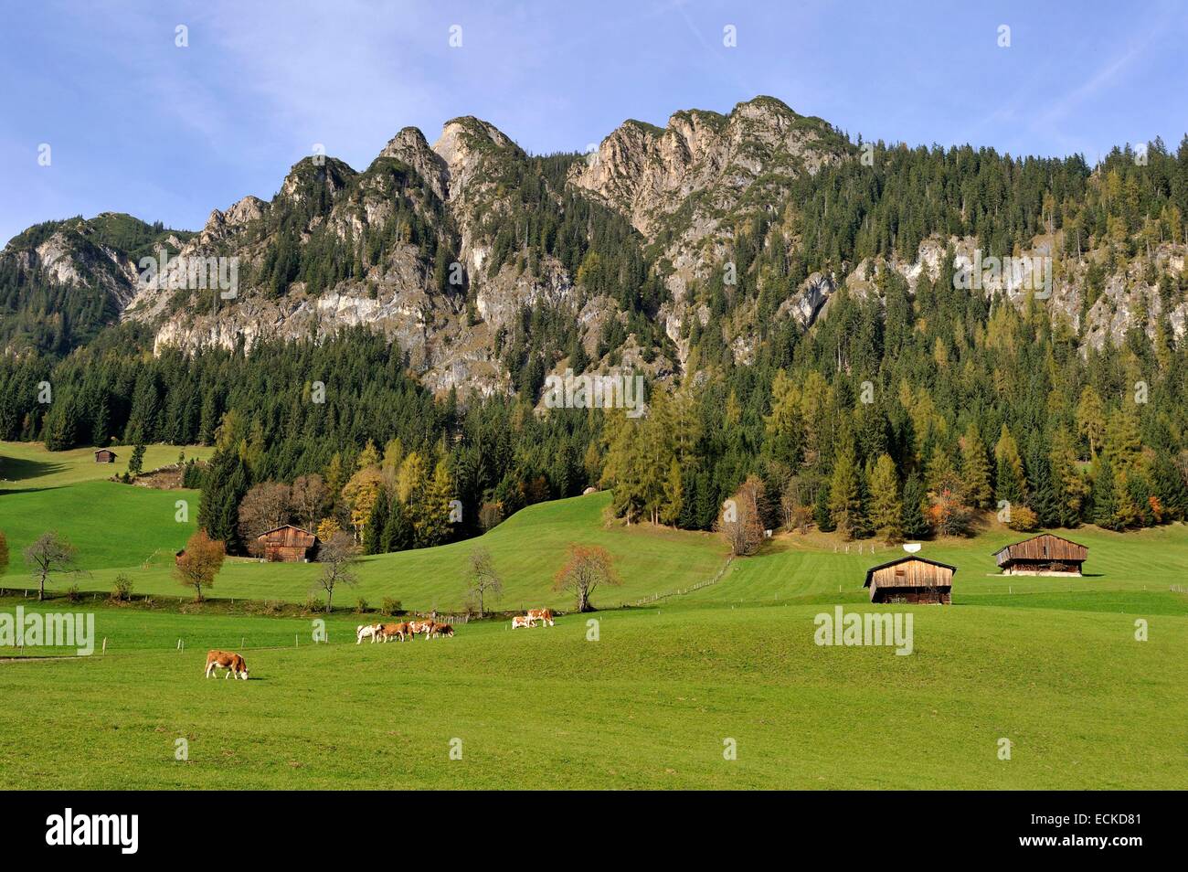 Autriche, Tyrol, Alpbach, paysage alpin et cottage Banque D'Images