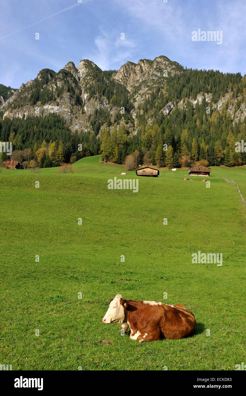 Autriche, Tyrol, Alpbach, paysage alpin et cottage Banque D'Images