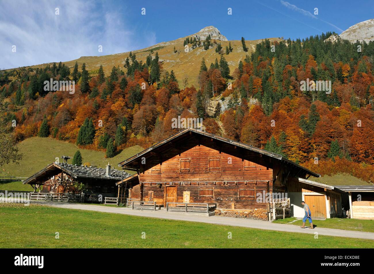 Autriche, Tyrol, Karwendel, Grosser Ahornboden, fra Alm Banque D'Images