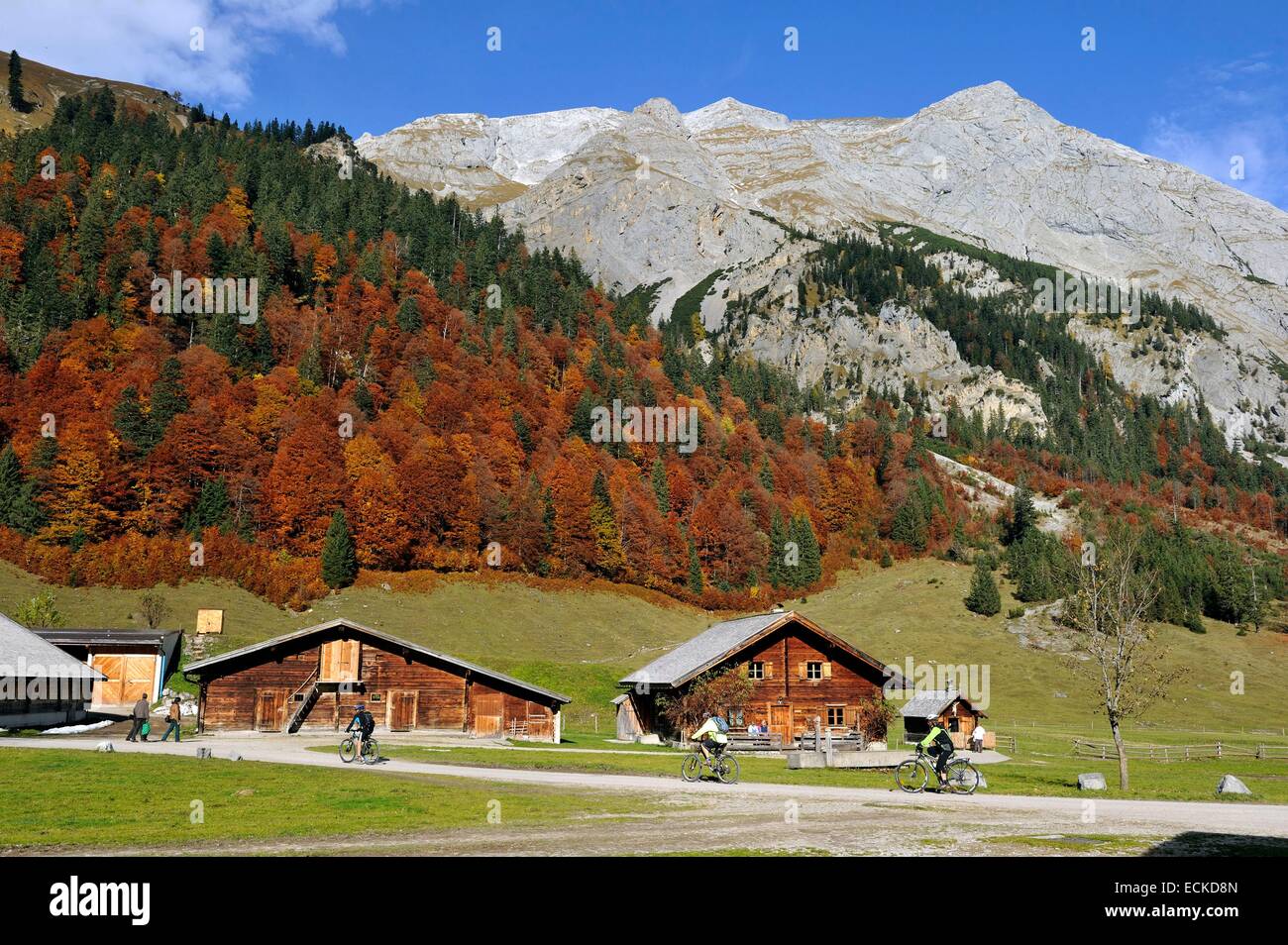 Autriche, Tyrol, Karwendel, Grosser Ahornboden, fra Alm Banque D'Images