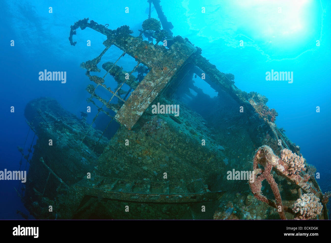 Wreckship Gianis D. Mer Rouge, Sharm El Sheikh, Egyp Banque D'Images