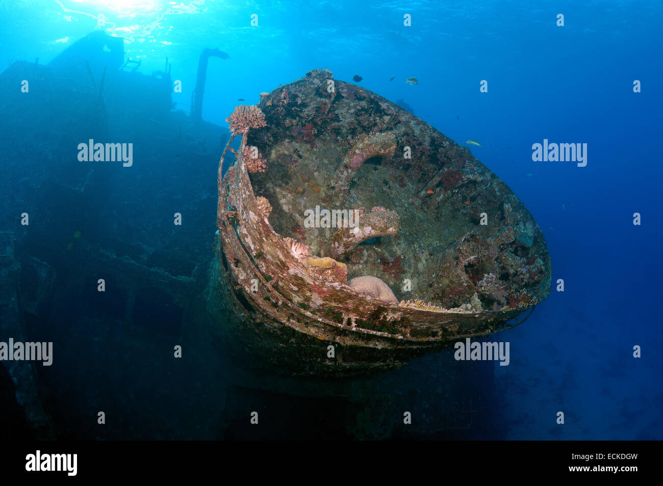Wreckship Gianis D. Mer Rouge, Sharm El Sheikh, Egypte Banque D'Images