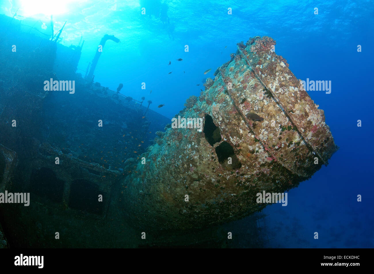 Wreckship Gianis D. Mer Rouge, Sharm El Sheikh, Egypte Banque D'Images