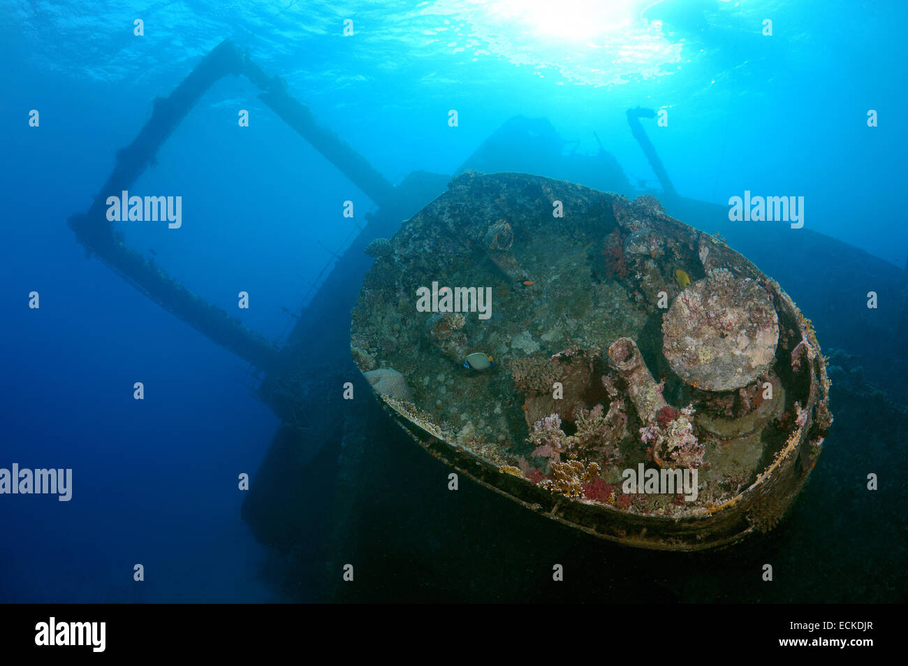 Wreckship Gianis D. Mer Rouge, Sharm El Sheikh, Egyp Banque D'Images