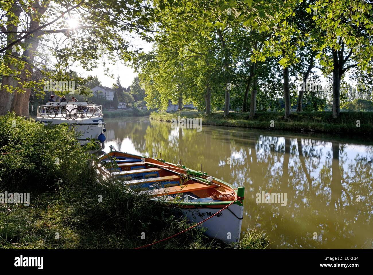 La France, l'Hérault, Narbonne, le Canal du Midi classé au Patrimoine Mondial de l'UNESCO, lieu dit La Croisade, traditionnel bateau amarré en bordure d'une voie avec des platanes Banque D'Images