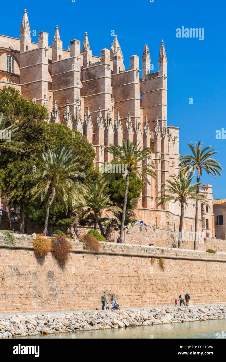 L'Espagne, Îles Baléares, Majorque, Palma de Majorque, la cathédrale (La Seu), construit entre 1229 et 1601 et du gothique catalan Banque D'Images