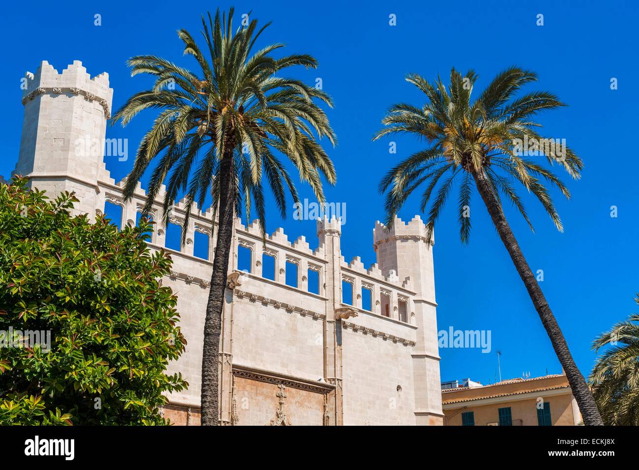 L'Espagne, Îles Baléares, Majorque, Palma de Majorque, Sa Llotja, Loge des Marchands (15e siècle) de style gothique qui a servi d'échanges Banque D'Images