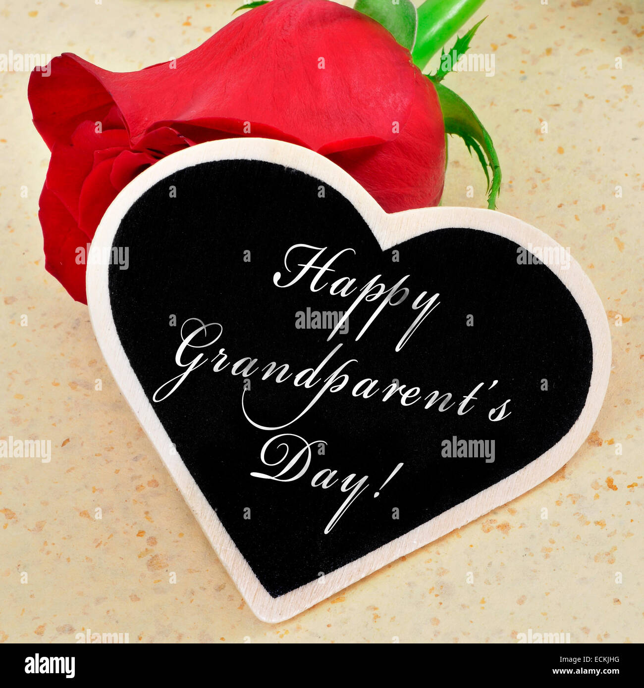 Journée des grands-parents heureux phrase écrite avec la craie sur un tableau noir en forme de cœur avec une rose rouge dans l'arrière-plan Banque D'Images