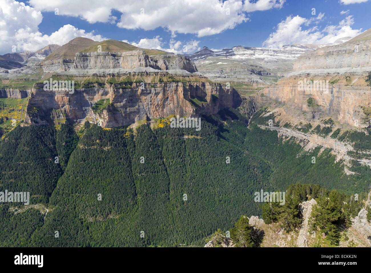 Espagne, Aragon, Torla, Ordesa et Mont Perdu national park, classé au Patrimoine Mondial par l'UNESCO, le canyon d'Ordesa Banque D'Images