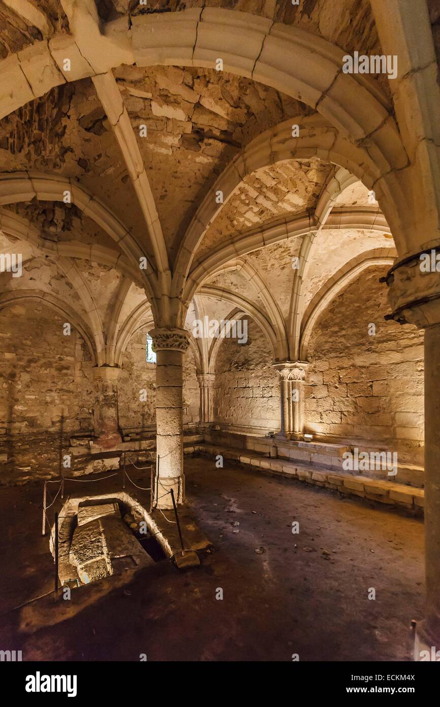 France, Vendée, Saint Michel en l'Herm, l'abbaye royale, la salle du chapitre Banque D'Images