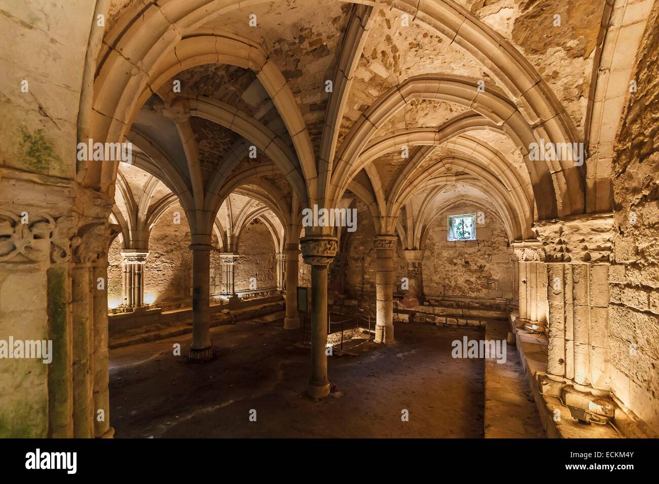 France, Vendée, Saint Michel en l'Herm, l'abbaye royale, la salle du chapitre Banque D'Images