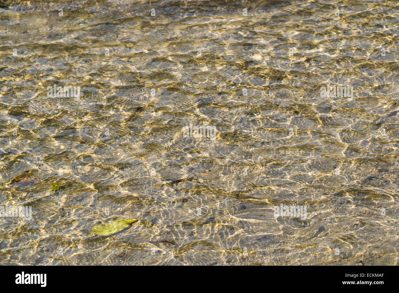 La texture du fond de la rivière jaune, vagues de sable en eau peu profonde Banque D'Images